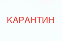 Новости » Общество: Школу в Керчи закрыли на карантин из-за микоплазменной пневмонии