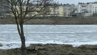 Новости » Общество: Водоемы в Керчи покрываются льдом