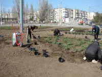 Клумба на транспортном кольце у автовокзала скоро зазеленеет