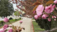 Новости » Общество: В Крыму на этой неделе будет тепло и солнечно