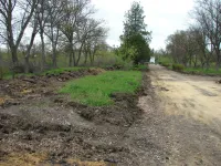 Новости » Общество: Приморский парк Керчи готовится к основным работам по благоустройству