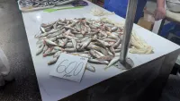 Новости » Общество: На выходных в Керчи продавали барабулю по 600 рублей