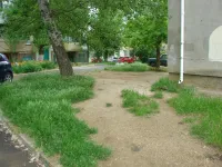 Новости » Общество: ЖСК по Войкова, 31 в Керчи ждет благоустройства своего двора