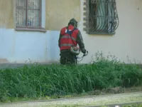 Новости » Общество: В Керчи покос травы ведут ежедневно