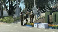 Новости » Общество: Клумбы и вазоны в Керчи заполняют цветочной рассадой
