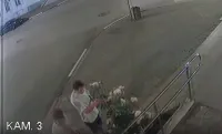 Два романтика в Керчи обломали огромной куст с розой около библиотеки