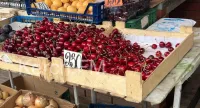 В Крыму из-за заморозков ожидается снижение урожая черешни и орехов на 15 процентов