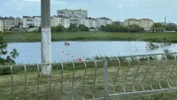 В Керчи продолжается обработка зеленых зон от клещей