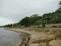 Новости » Общество: Зона отдыха Сморжевского в Керчи замерла в ожидании выбора