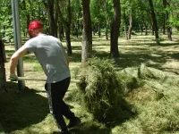 Новости » Общество: В Комсомольском парке Керчи убирают стога покошенной травы