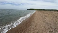 Новости » Экология: Чистота пляжа под Керчью радует отдыхающих