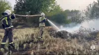 На пожарах в Крыму за неделю спасли два человека