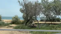 Новости » Экология » Общество: Закроют ли проход к морю? На Аршинцевской косе продолжается новая застройка