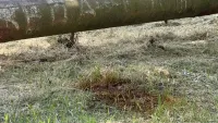 Новости » Коммуналка: На Заречной труба водовода протекает сразу в нескольких местах