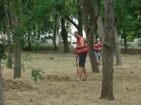 Новости » Общество: В Керчи ежедневно ведется покос и уборка травы