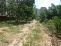 Новости » Общество: Дорожку за МКД по Генерала Петрова, 16 в Керчи просят восстановить
