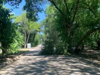 Новости » Общество: На Суворова в Керчи опять рухнуло дерево