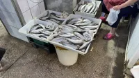 Новости » Общество: В рыбном корпусе на центральном рынке в Керчи сегодня было так