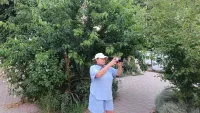 Новости » Общество: Сегодня поздравления с 60-летним юбилеем принимает известный керченский журналист Ольга Лукьянова