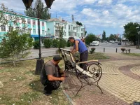 Сквер у генеалогического дерева приводят в порядок