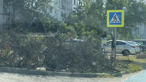Вместо ларька - мусор и ветки: в Керчи оставили разруху на месте незаконной торговли