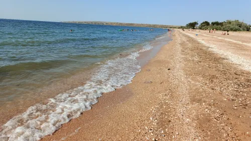 Новости » Общество: Медузы отступили от берегов и Новоотрадного, и Керчи