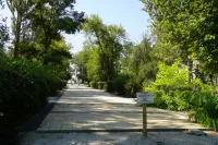 В Приморском парке продолжаются работы по благоустройству