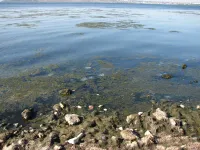 На зоне отдыха Сморжевского в Керчи желающих купаться заметно поубавилось