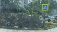 Вместо ларька - мусор и ветки: в Керчи оставили разруху на месте незаконной торговли