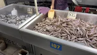 Новости » Общество: В рыбном корпусе на центральном рынке в Керчи сегодня было так