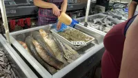 Новости » Общество: В рыбном корпусе на центральном рынке в Керчи сегодня было так