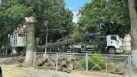 Опасность над головой: в Керчи спилили дерево у оживлённой остановки