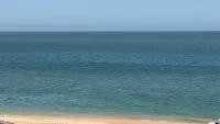 Новости » Экология: До середины сентября морская вода в Крыму останется тёплой