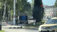 Новости » Общество: Коммунальщики в Керчи ежедневно убирают листву и поливают цветы