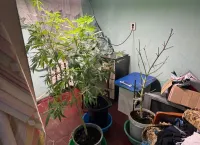 Новости » Криминал и ЧП: Крымчанка хотела сделать "лекарство" по рецепту в интернете, но оказалась под следствием