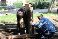 Во дворах на Комарова скоро появится новая детская площадка