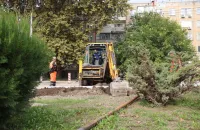 Новости » Общество: На автомобильном кольце по ул. Горького появится капельное орошение