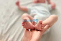 Новости » Общество: В Крыму пособие по уходу за ребенком до полутора лет получают 698 работающих отцов