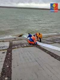 В Ленинском районе в водохранилище выпустили больше 50 тысяч мальков белого толстолобика