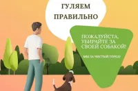 Керчанам напоминают о местах выгула собак