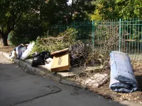За супермаркетом по Сморжевского в Керчи срочно требуется контейнер-"лодочка"