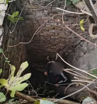 Новости » Криминал и ЧП: В Крыму мужчина упал с опорной стены в четырехметровый колодец