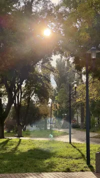 Новости » Общество: Температурные перепады ждут Крым в последнюю неделю октября