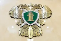 Новости » Криминал и ЧП: В Керчи мужчине дали 14 лет колонии за госизмену