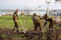 Новости » Общество: В керченском сквере "Монетка" завершают монтаж системы автоматического полива