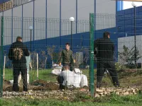 Новости » Общество: У Школы олимпийского резерва по художественной гимнастике в Керчи высаживают саженцы деревьев