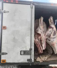 В Крым пытались ввезти более 450 кг опасной говядины