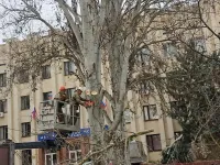 Новости » Общество: У Школы искусств им. Р.Сердюка в Керчи кронировали высокие деревья