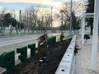 Новости » Общество: В Керчи ежедневно следят за зелеными насаждениями