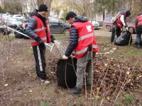 Новости » Общество: Сегодня коммунальщики очищали от опавшей листвы район Генерала Петрова